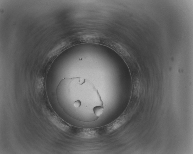 X0000085250278200703091306