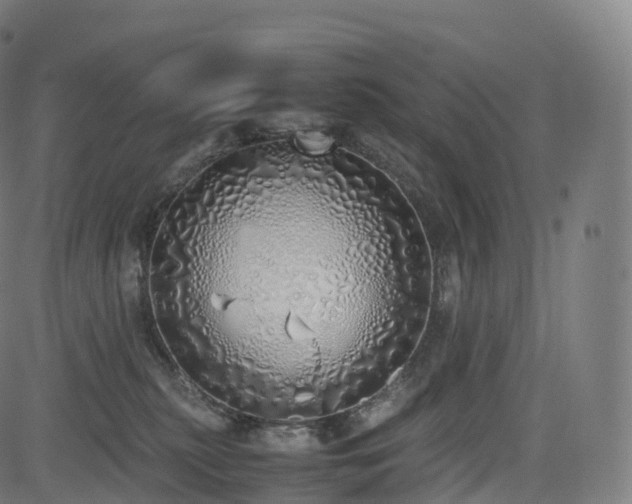 X0000085250279200703091306