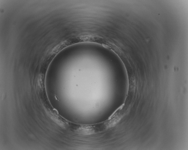 X0000085250280200703091306