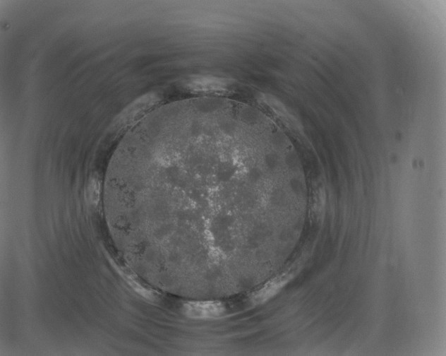 X0000085250281200703091306