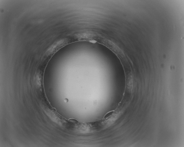 X0000085250282200703091306