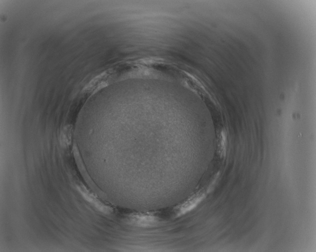 X0000085250284200703091306