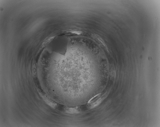 X0000085250285200703091306