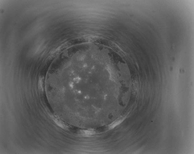 X0000085250286200703091306