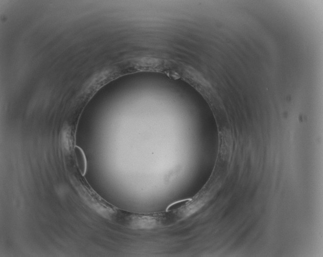 X0000085250287200703091306