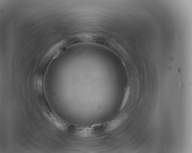 X0000085250288200703091306