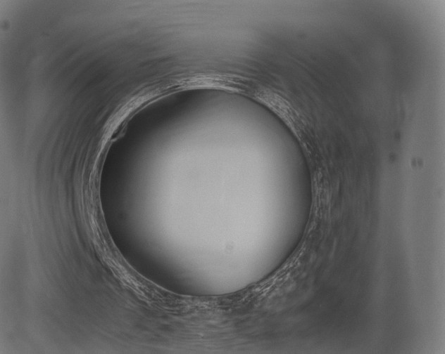 X0000085250289200703091305