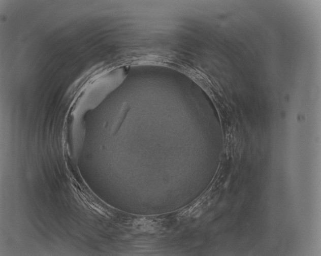 X0000085250290200703091305