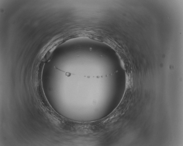 X0000085250291200703091305