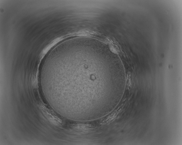 X0000085250292200703091305