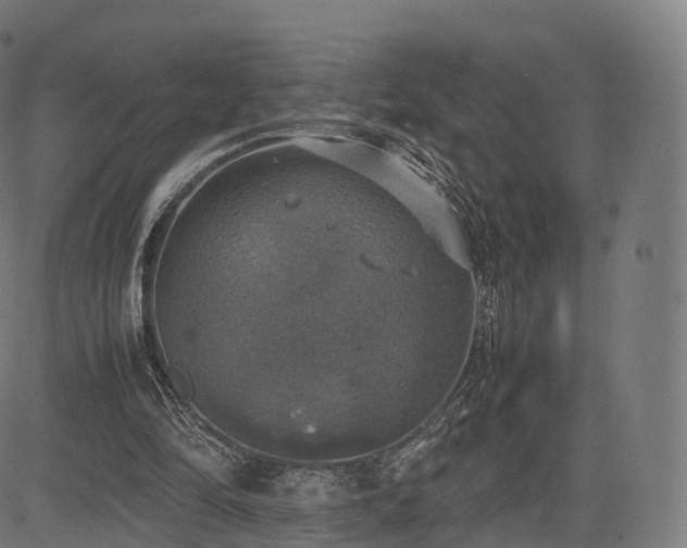 X0000085250294200703091305