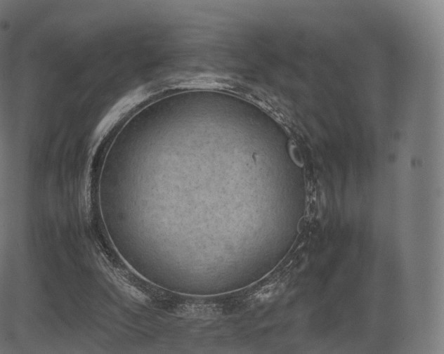 X0000085250296200703091305