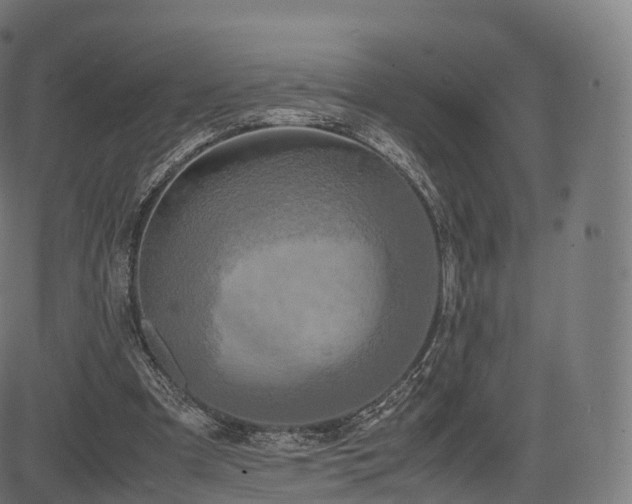 X0000085250297200703091305