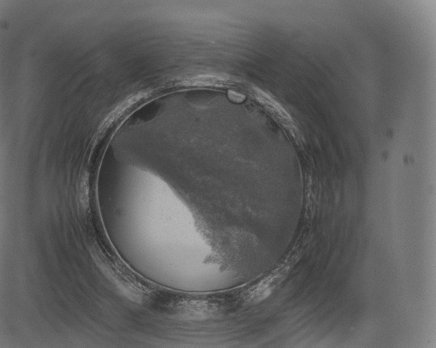 X0000085250298200703091305