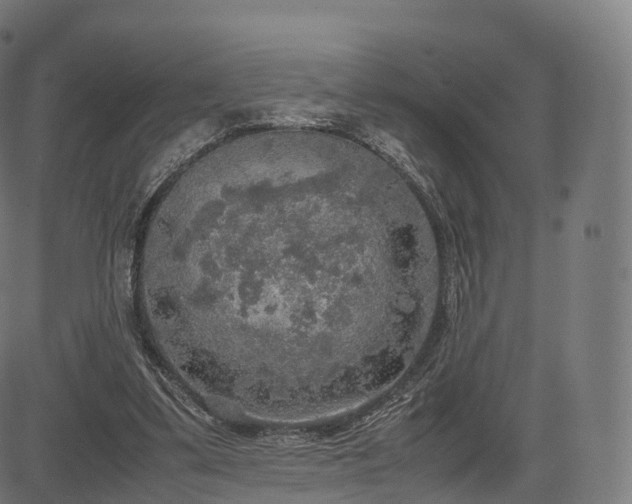 X0000085250299200703091305