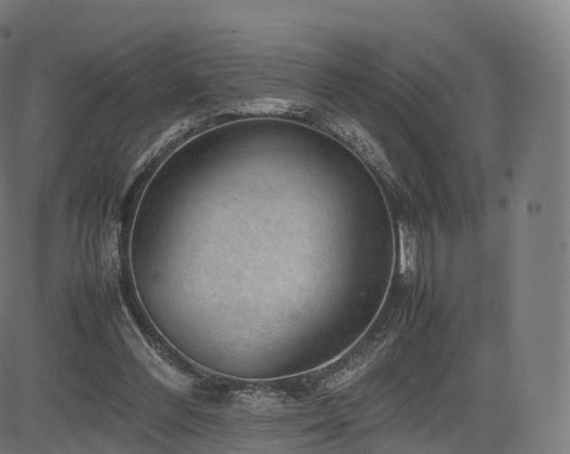 X0000085250300200703091305