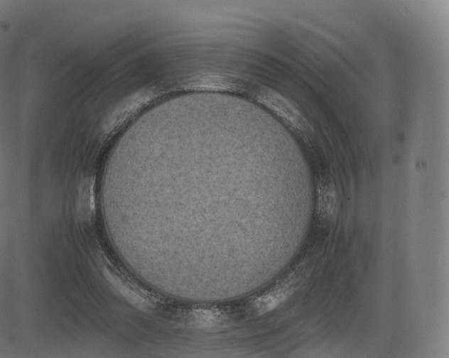 X0000085250302200703091305