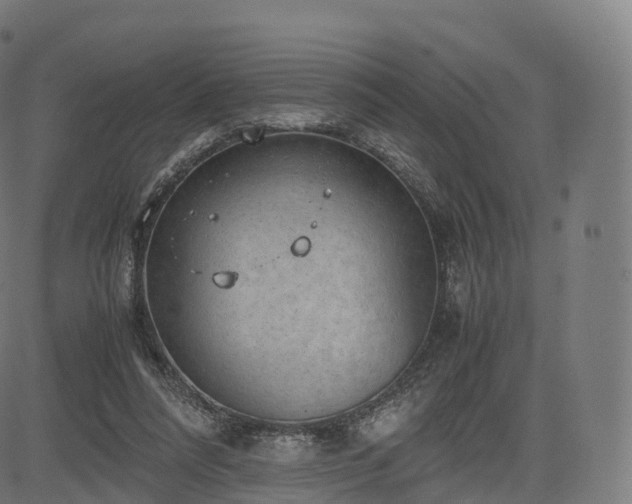 X0000085250304200703091305