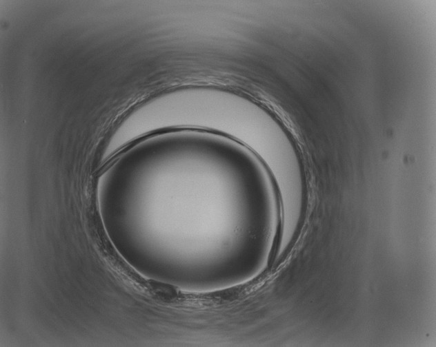 X0000085250305200703091305