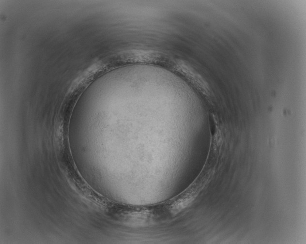 X0000085250306200703091305