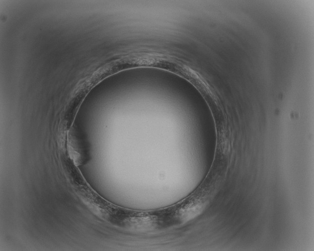 X0000085250307200703091305