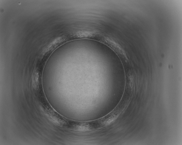 X0000085250308200703091305