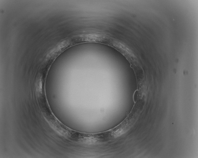 X0000085250310200703091305