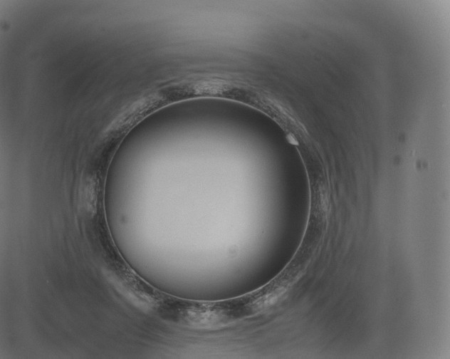 X0000085250311200703091305