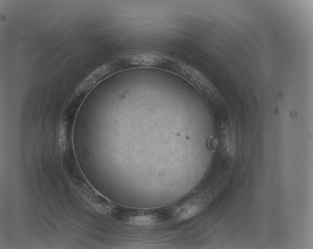 X0000085250312200703091305