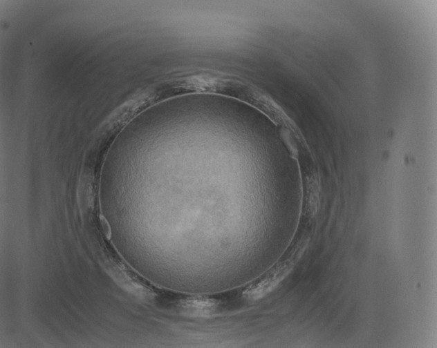 X0000085250313200703091305