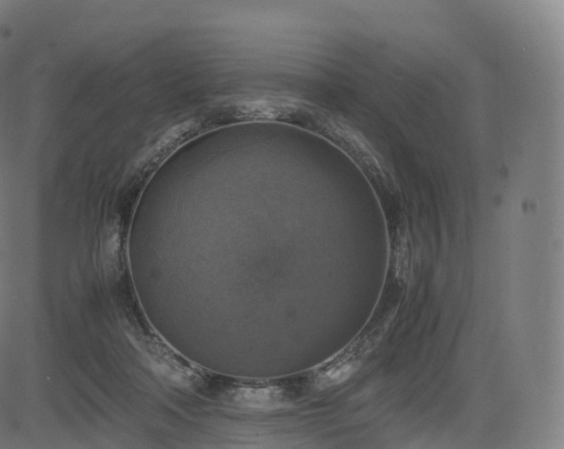 X0000085250314200703091305