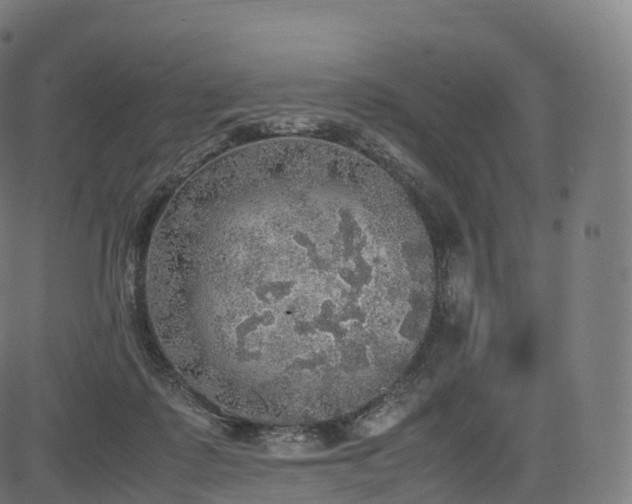 X0000085250315200703091305