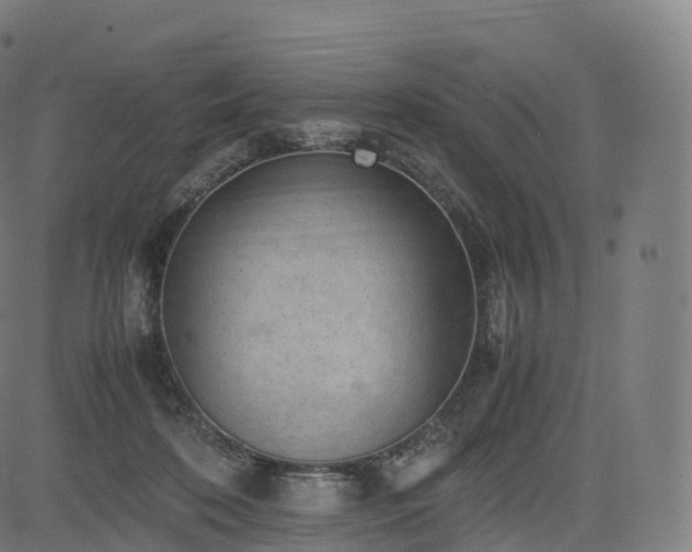 X0000085250316200703091305