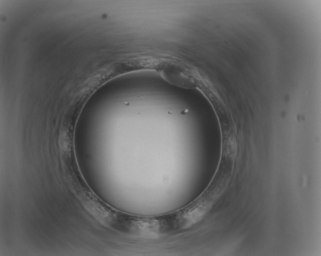 X0000085250317200703091304