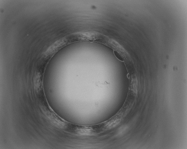 X0000085250318200703091304