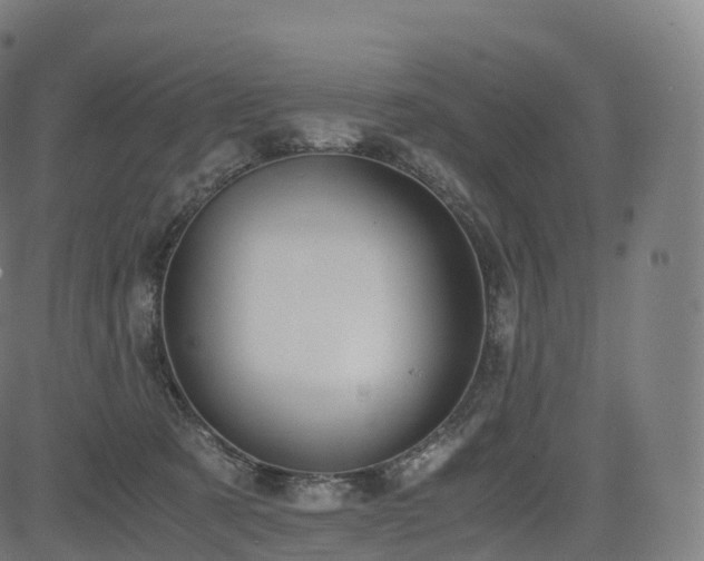 X0000085250321200703091304