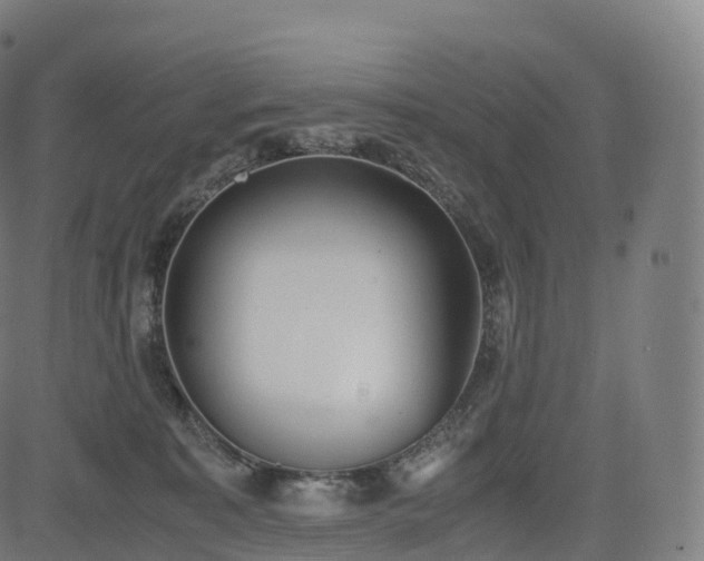 X0000085250323200703091304