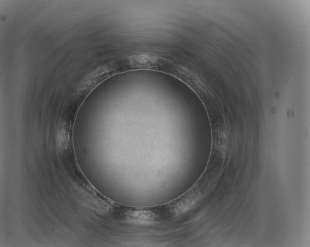 X0000085250324200703091304