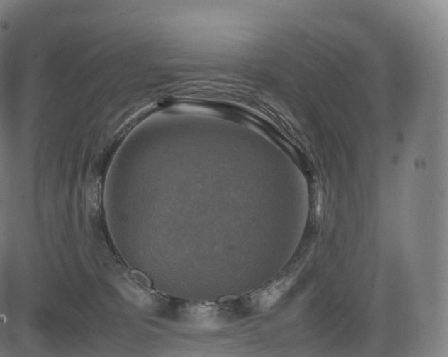 X0000085250325200703091304