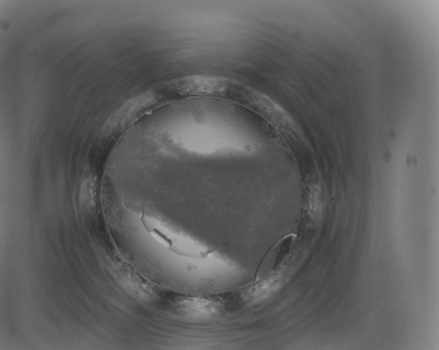 X0000085250326200703091304