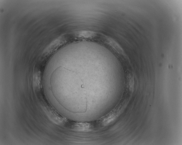 X0000085250328200703091304