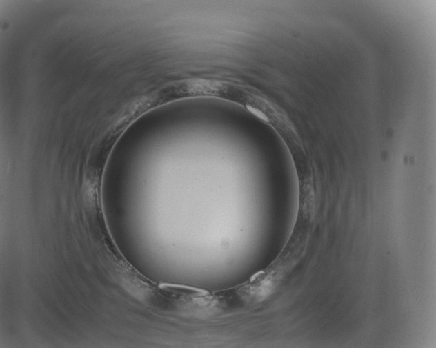 X0000085250329200703091304