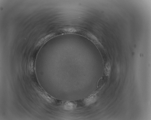 X0000085250330200703091304