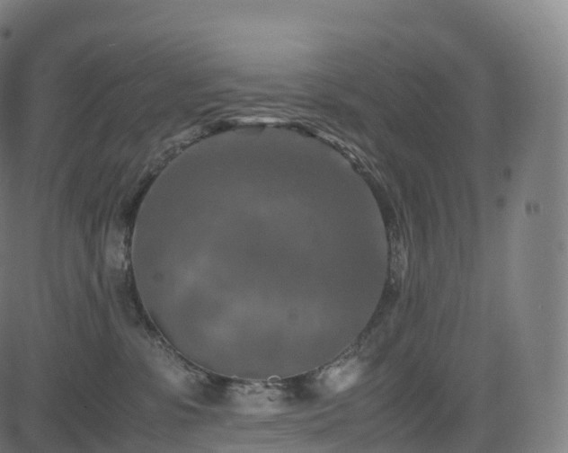 X0000085250331200703091304