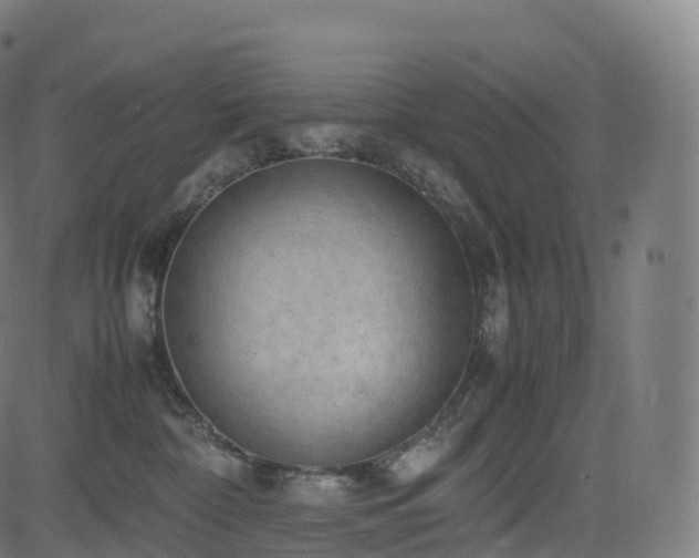 X0000085250332200703091304