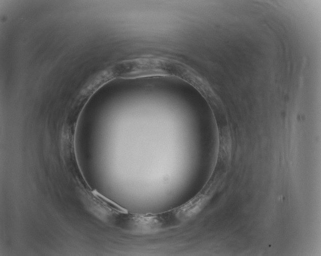 X0000085250333200703091304