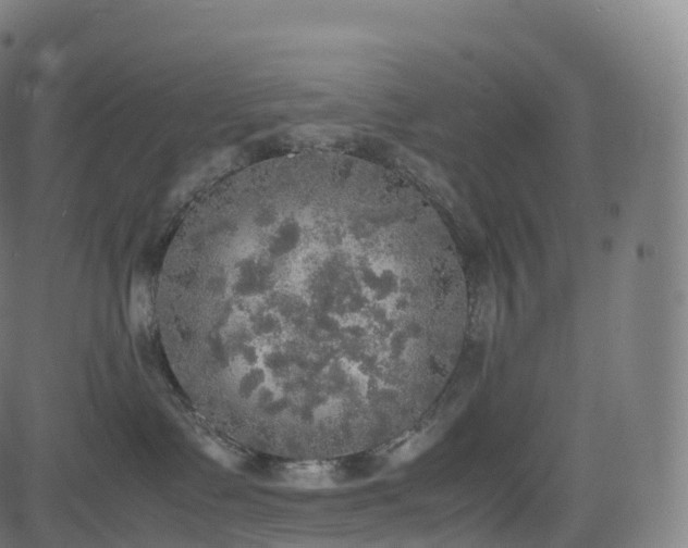 X0000085250335200703091304