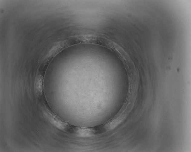 X0000085250336200703091304