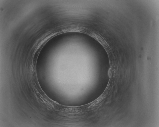 X0000085250338200703091303