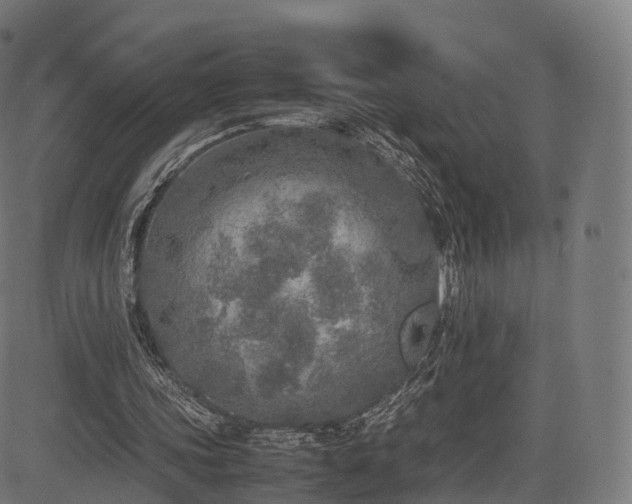 X0000085250339200703091303